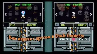 Как играть в Duck Game с другом?