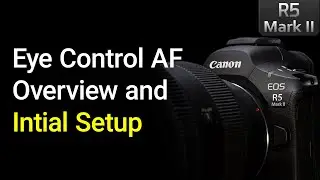 Overview and Initial Setup for Eye Control AF - EOS R5 Mark 2 Tip 11