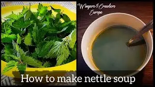 How to make Stinging nettle soup | Cooking with nature | Easy, Tasty & Healthy Food | Netelsoep