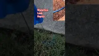 Fix Waterline Leaks Like an Expert @TappPlumbing  #plumbingproblems #plumbers #shorts