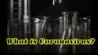 What is Coronavirus