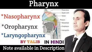 Pharynx In Hindi | Parts | Types | Structure| Function | Digestive System| Respiratory System