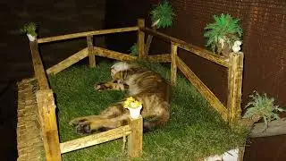 2022. CASA  GATA KIRA