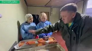 сельдью икра
