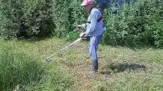 2024 8 1 Проба бензокосы