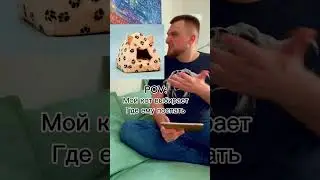 Кот большой, ему видней😂 ТГК Nick Ralleson 