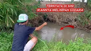 ternyata di sini ikannya masih melimpah sodara