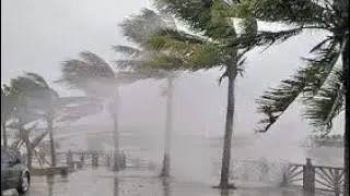 Suasana Hujan Datang // Hujan Angin // Angin Ribut Datang 