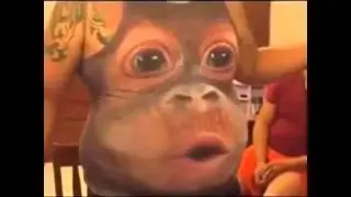 хаха