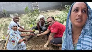 Hmare Kitchen Garden Me Nye Mehmaan Ka Swagat || Pal Family Vlogs