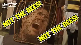 Not The Bees - MowCow Lawn & Landscape