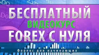 Люди Зарабатывающие На Форексе | Тредеры заработавшие на форекс