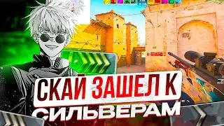 SKYWHYWALKER ЗАШЕЛ К СИЛЬВЕРАМ В МАТЧМЕЙКИНГ!! СКАЙ СМОТРИТ ТРЕЙДЫ ОТ ПОДПИСЧИКОВ!