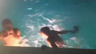 Brian Goes Wild