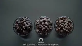 Coffee Bean Roaster - Freshly roasted coffee beans at home - DesignNest.com
