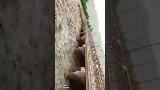11 мая 2024 г.