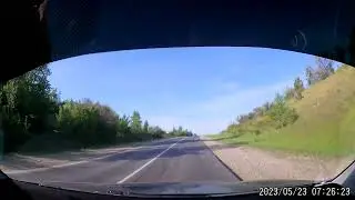 Семья косуль шигоны, троекуровская гора. утро 23.05.23