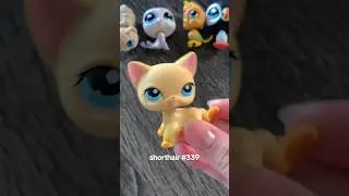 This lps lot was only $15 #littlestpetshop #lps #lpsunboxing #lpstuber