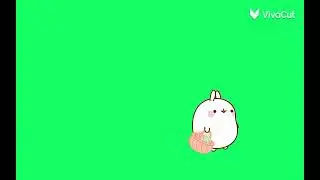 Molang vivacut stampede green screen
