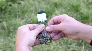 How to Set a Gopher Trap