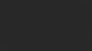 bypassed roblox flipped decals (Description)