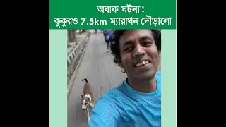 A Dog Participate in Marathon | কুকুরও ম্যারাথনে দৌড়ালো এবং শেষ করলো!