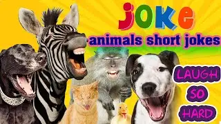 🤣 Funny Jokes - animals Jokes. Try not to laugh 😂 Jokes To Tell Your Friends