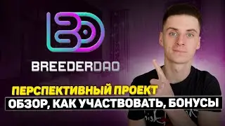 BreederDAO Обзор и Какие Перспективы❓Airdrop 60000$ + Амбассадорская Программа❗️
