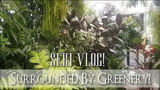 Seri Vlog - Surrounded By Greenery! A Trip to the Greenhouse!