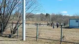 Наращивание ресниц цена