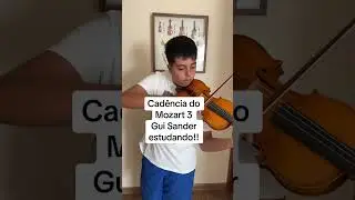 Jornada do Professor de Violino - Mentalidade de Profissional - Gratuito link no meu Instagram