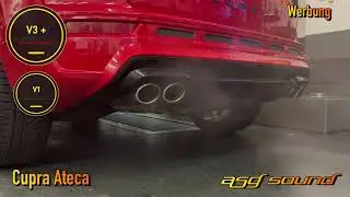 Cupra Ateca | ASG Sound | V1 / V3 + | Sportauspuff