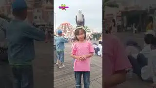 Bang becak - burung elang