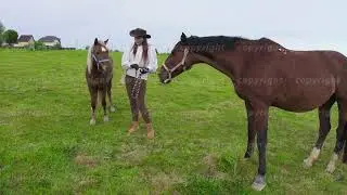Woman caressing horses in field
