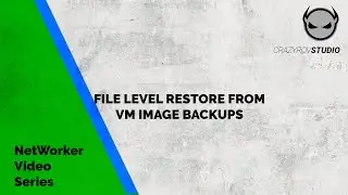 VM File Level Restore(FLR) from VM Image backup using NetWorker vProxy