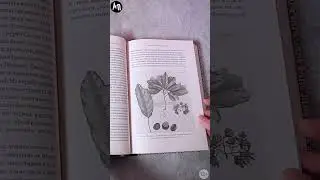 Новинка «Альпины»: Незападная история науки 