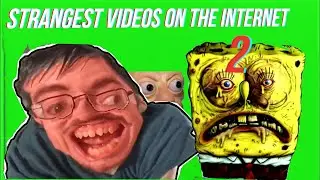STRANGEST VIDEOS ON THE INTERNET 2