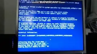 Pocoyo has BSOD