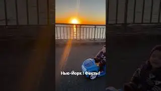🇺🇸ТАК ПРОСТО!!!! ВОДИТЕЛЬСКИЕ ПРАВА В АМЕРИКЕ!!! В США через Мексику