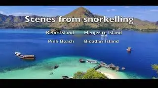 Snorkelling in Flores (Komodo National Park)