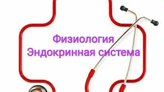 Физиология. Регуляция эндокрынной системы.