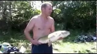 Рыбалка Южный Буг, Ладыжин, зачетный белый амур
