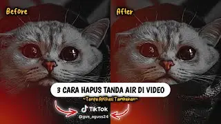 Hanya Sekali Klik❗3 Cara Menghilangkan Tanda Air Di Video Secara Gratis