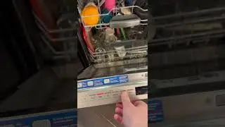 Reset Bosch Dishwasher