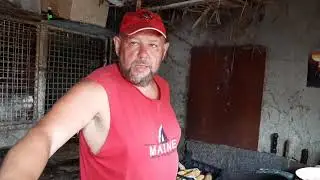 Нутрия.  Будни.