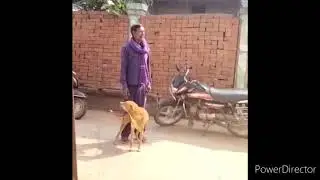 Chhattisgarh Ke Gaon Mein vaccine ka advisor Jari kar raha hai hi dog bhi support kar raha hai