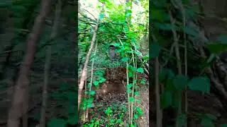 25.08.2023 Супер находка в лесу. 🤯😱 Московская область.