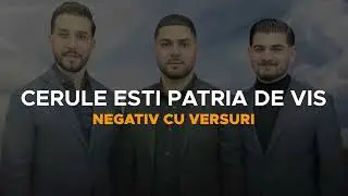 Negativ - CERULE ESTI PATRIA DE VIS (Original Daniel Paun)