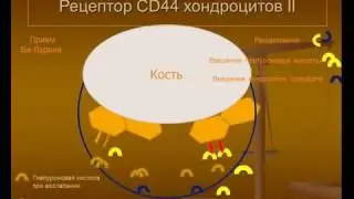 Би-лурон. Производитель Германия.
