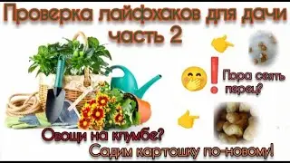 Проверка лайфхаков для дачи часть 2